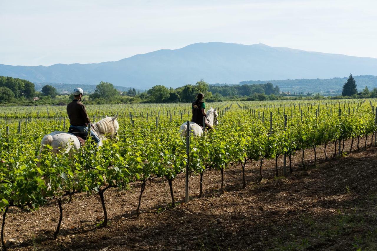 Chateau La Croix Des Pins Mazan Kültér fotó